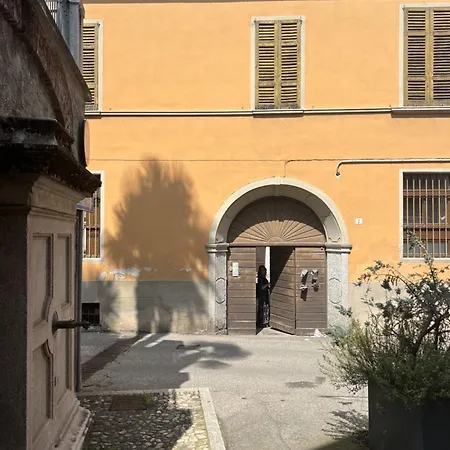 Azalea Riviera D'orta