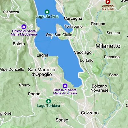 Azalea Riviera D'orta *