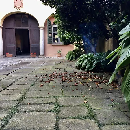 Azalea Riviera D'orta *