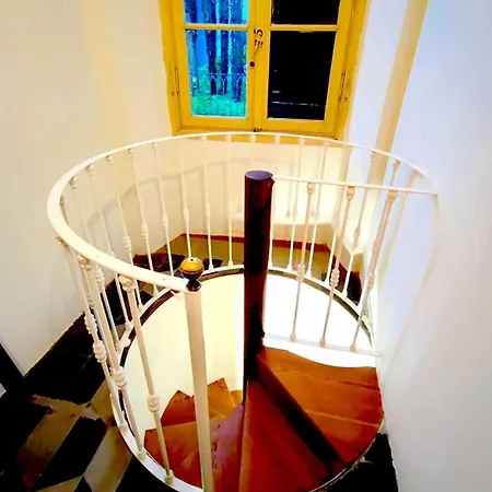 Azalea Riviera D'orta * Gozzano